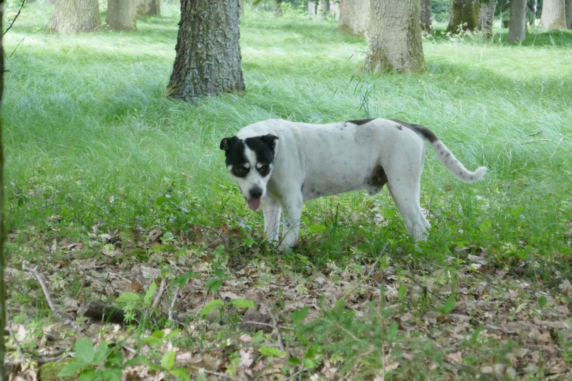 05 Albschäferweg - 2 Tages Wanderung im Juni
